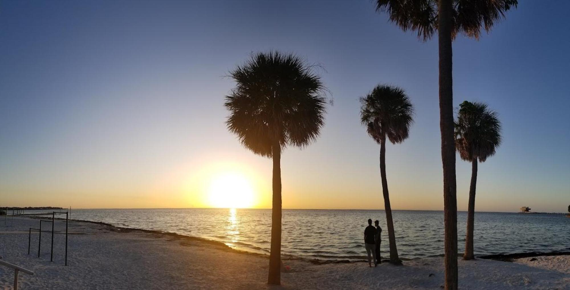 Elegant Studio Apartment In Downtown St Pete - Great Community Events! St. Petersburg Exteriör bild